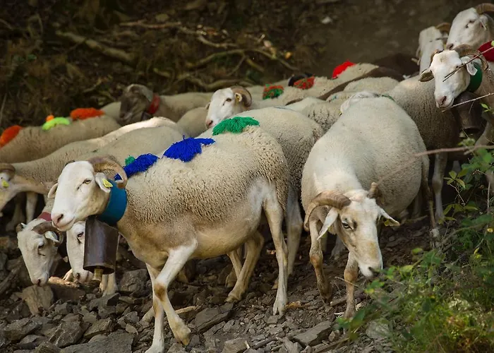 Гостевой дом Chateau De La Rode