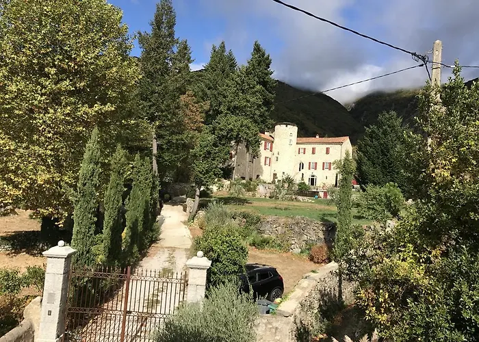 Chateau De La Rode 5* Aumessas