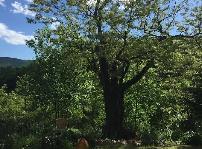 Chateau De La Rode Гостевой дом 5*